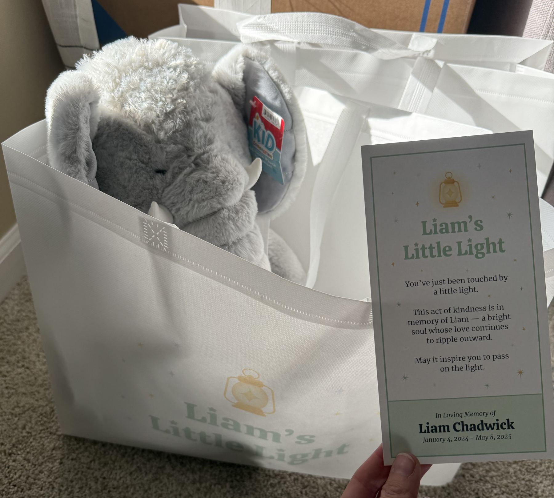 Liam's Little Light bags and stuffed animals at Family Fun Day 2025 at the town park