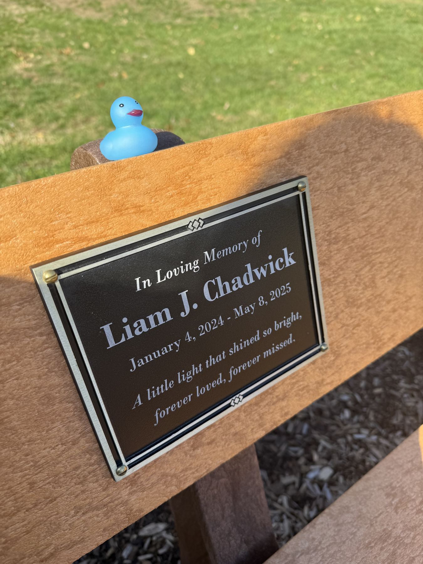 Memorial bench at the town park